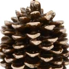 Anna's Collection LED Stumpenkerze Podo Tannenzapfen braun D 12 H 10 cm
