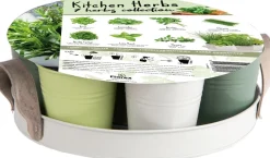 Anzucht-Set Küchenkräuter inkl. Tablett und Töpfchen