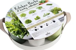Anzucht-Set Küchenkräuter inkl. Tablett und Töpfchen