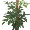 Baumfreund (Philodendron pedatum) D 24 H 120 cm