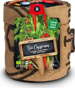 Baza Anzuchtset Chili (Solanum annuum)