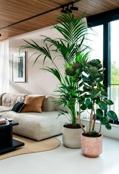 Bela Arte Blumentopf Belem braun D 30 H 29 cm