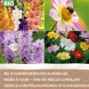 Bio-Blumenzwiebeln für Bienen und Schmetterlinge 25 St.
