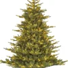 Black Box Künstlicher Weihnachtsbaum Grand Fir mit 550 LEDs warmweiß D 152 H 215 cm
