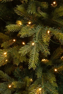 Black Box Künstlicher Weihnachtsbaum Grand Fir mit 550 LEDs warmweiß D 152 H 215 cm