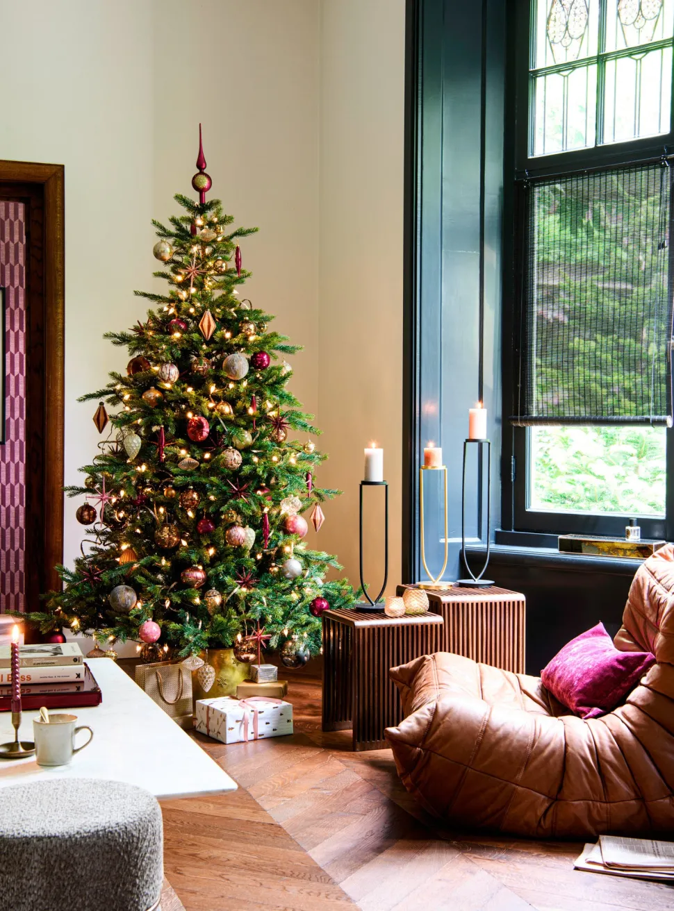 Black Box Künstlicher Weihnachtsbaum Grand Fir mit 550 LEDs warmweiß D 152 H 215 cm