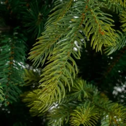 Black Box Künstlicher Weihnachtsbaum Grand Fir D 152 H 215 cm