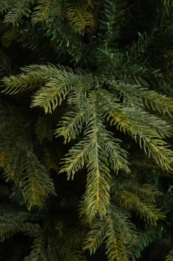 Black Box Künstlicher Weihnachtsbaum Grand Fir D 152 H 215 cm