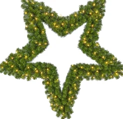 Black Box Weihnachtsstern beleuchtet D 91 cm grün mit 72 LEDs warmweiß