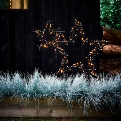 Blauschwingel (Festuca glauca 'Intense Blue') D 17 H 35 cm