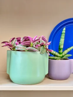 Blumentopf Modern lila D 10,3 H 13 cm