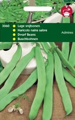 Buschbohnen (Phaseolus vulgaris 'Admires') Samen