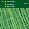 Buschbohnen (Phaseolus vulgaris 'Sonate') Samen
