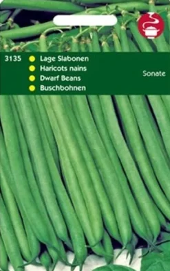 Buschbohnen (Phaseolus vulgaris 'Sonate') Samen