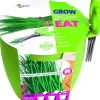 Buzzy® Anzucht-Set Schnittlauch Kräutertopf mit Schere "Grow, Cut & Eat"