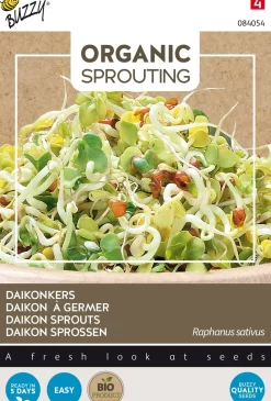 Buzzy® Daikon Sprossen (Raphanus sativus) (BIO) Samen