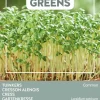 Buzzy® Microgreens Gartenkresse Sprossen (Lepidium sativum) Sprossen (BIO) Samen