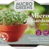 Buzzy® Microgreens Grünkohl (Brassica oleracea var. Acephala Sabellica) Kresse-Anzuchtset