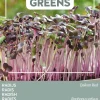 Buzzy® Microgreens Radies Sprossen (Raphanus sativus) Sprossen (BIO) Samen