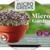 Buzzy® Microgreens Roter Mizuna (Brassica rapa) Kresse-Anzuchtset
