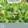Buzzy® Microgreens Salat-Mischung Sprossen (Lactuca sativa type) Sprossen (BIO) Samen