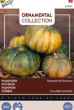 Buzzy® Ornamental Kürbis (Cucurbita moschata 'Musquée De Provence') Samen
