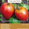 Buzzy® Pomodori Fleischtomate (Solanum lycopersicum 'Cœur de Bœuf') Samen