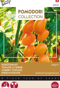 Buzzy® Pomodori Kirschtomate (Solanum lycopersicum 'Dolly F1') Samen