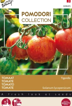 Buzzy® Pomodori Tomate (Solanum lycopersicum 'Tigerella') Samen