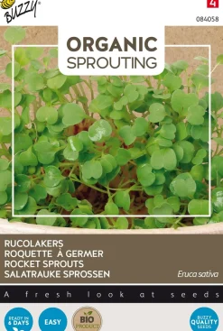 Buzzy® Rucola Sprossen (Eruca vesicaria ssp. sativa) (BIO) Samen