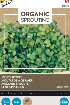 Buzzy® Senfkresse (Sinapis alba) (BIO) Samen