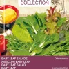 Buzzy® Xotica Baby Leaf Salat (Lactuca sativa) Samen-Mischung