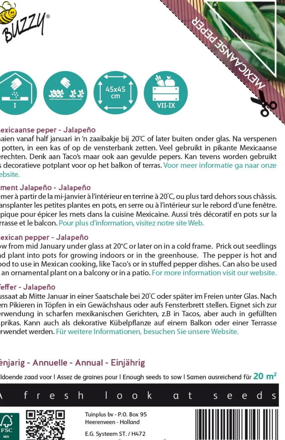 Buzzy® Xotica Jalapeno (Capsicum annuum) Samen