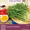 Buzzy® Xotica Mizuna Japanischer Salat (Brassica junicea) Samen