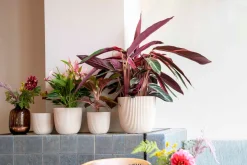 Capi Europe Blumentopf Groove beige D 21,5 H 20 cm