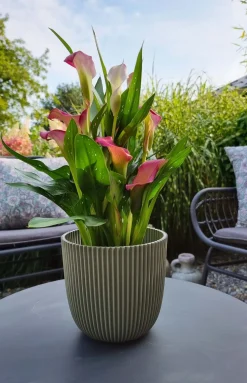 Capi Europe Blumentopf Groove grün D 16,5 H 15 cm