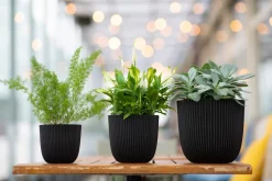 Capi Europe Blumentopf Groove schwarz D 13 H 12 cm