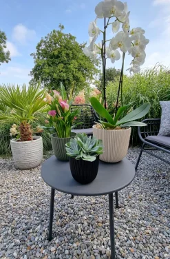 Capi Europe Blumentopf Groove schwarz D 13 H 12 cm