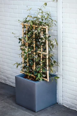 Capi Europe Blumentopf Urban Smooth 40 x 40 x 40 cm grau