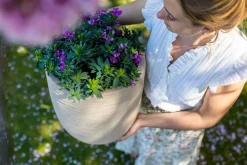 Capi Europe Blumentopf Waste Rib beige D 43 H 41 cm