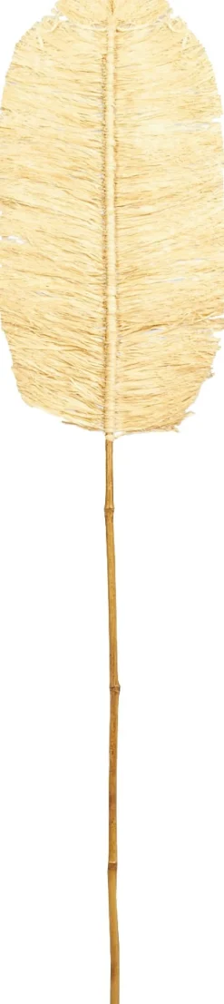 Dijk Natural Collections Deko-Blatt Palme natur 150 x 30 x 1,5 cm