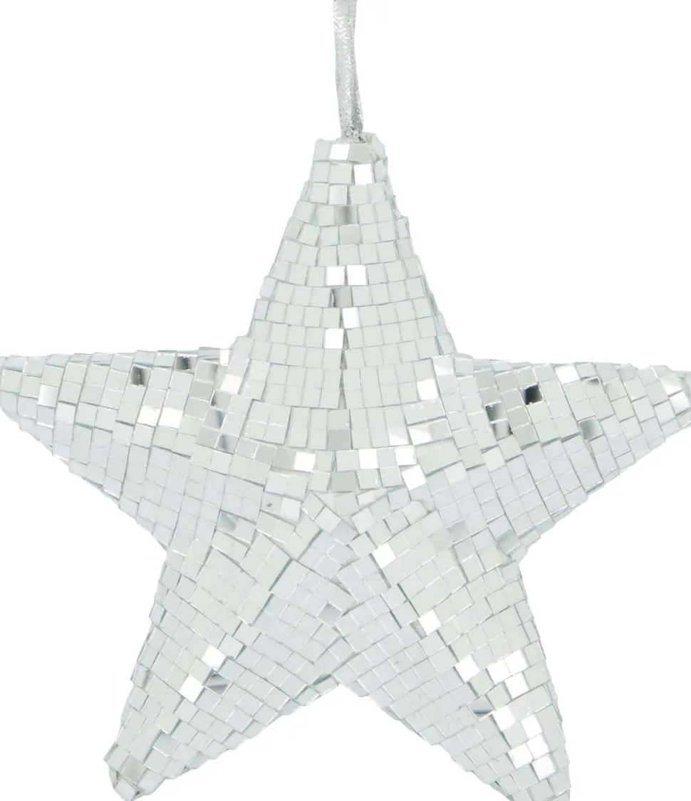 Dijk Natural Collections Weihnachtsstern silber D 18 H 6 cm