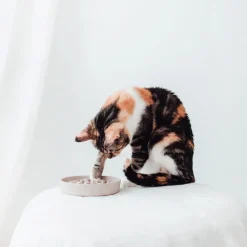 District 70 Hundenapf Bamboo Anti-Schling S beige D 13,5 H 2,6 cm