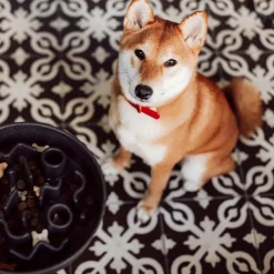 District 70 Hundenapf Bamboo Anti-Schling M grau D 21 H 5,3 cm