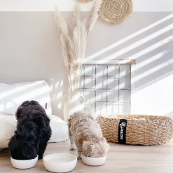 District 70 Hundenapf Bamboo M beige D 17,5 H 5,8 cm 1000 ml