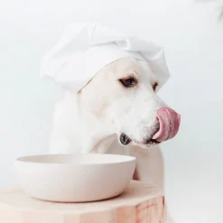 District 70 Hundenapf Bamboo L beige D 21 H 6,3 cm 1600 ml