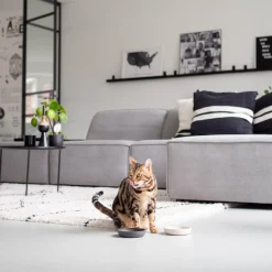 District 70 Katzennapf Bamboo XS beige D 12 H 2,8 cm