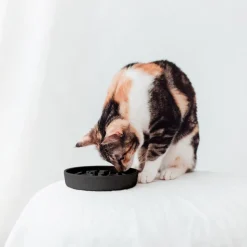 District 70 Katzennapf Bamboo Anti-Schling S grau D 13,5 H 2,6 cm