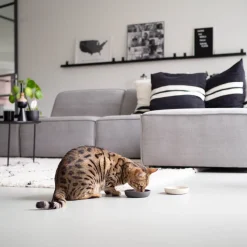 District 70 Katzennapf Bamboo anthrazit D 12 H 2,8 cm