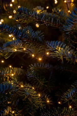 Drahtlichterkette gold 6 m mit 200 LEDs